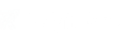 Raleigh SEO
